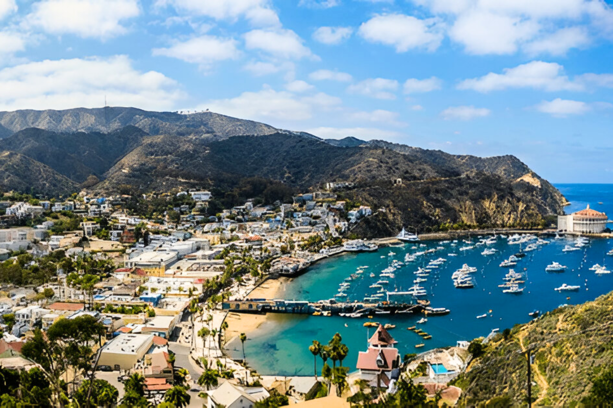Catalina Island's Economy Stands at a Challenging Intersection of Healthcare and Legal Issues