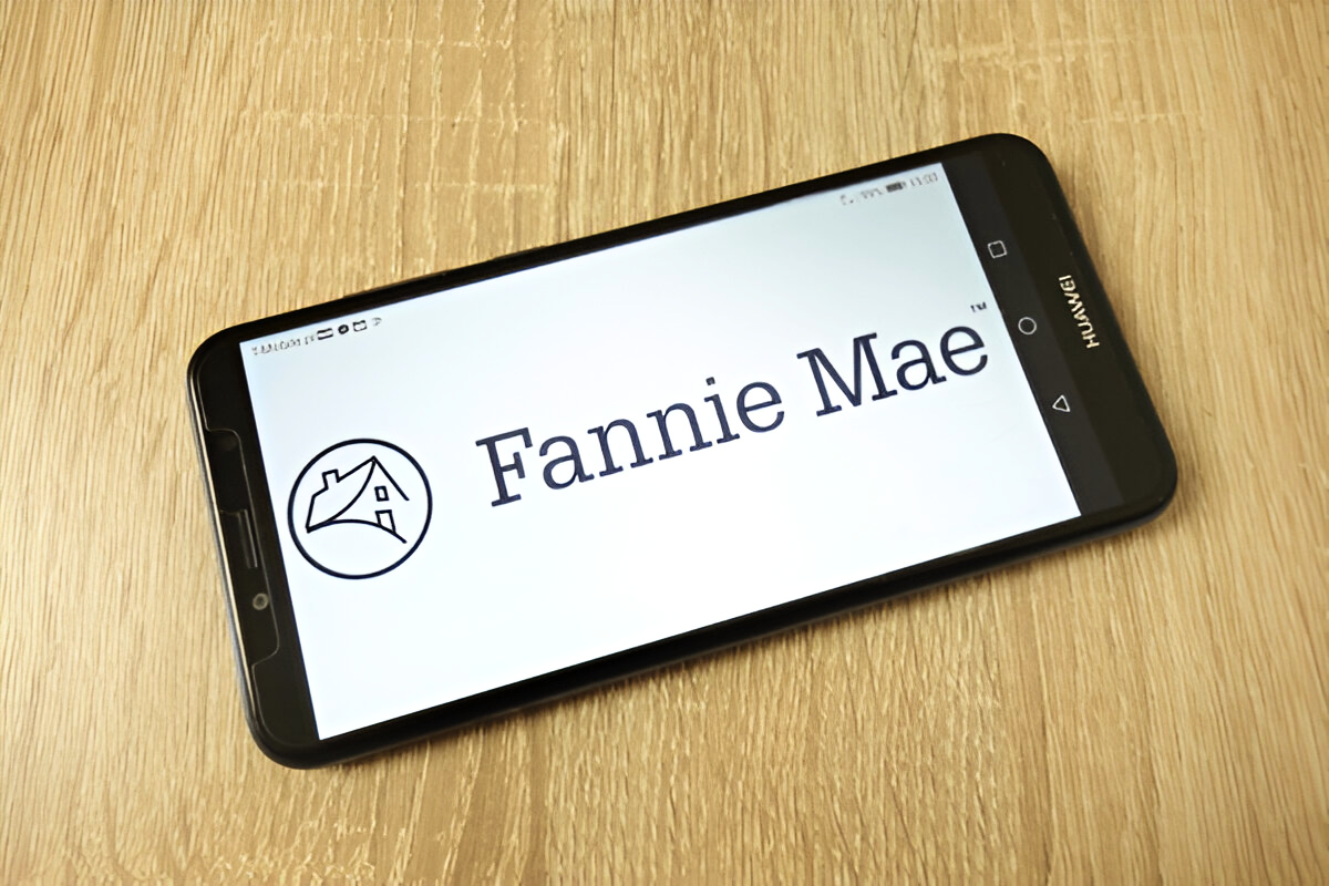 Fannie Mae’s Strategic Moves in 2025: Market-Based Problems Come True