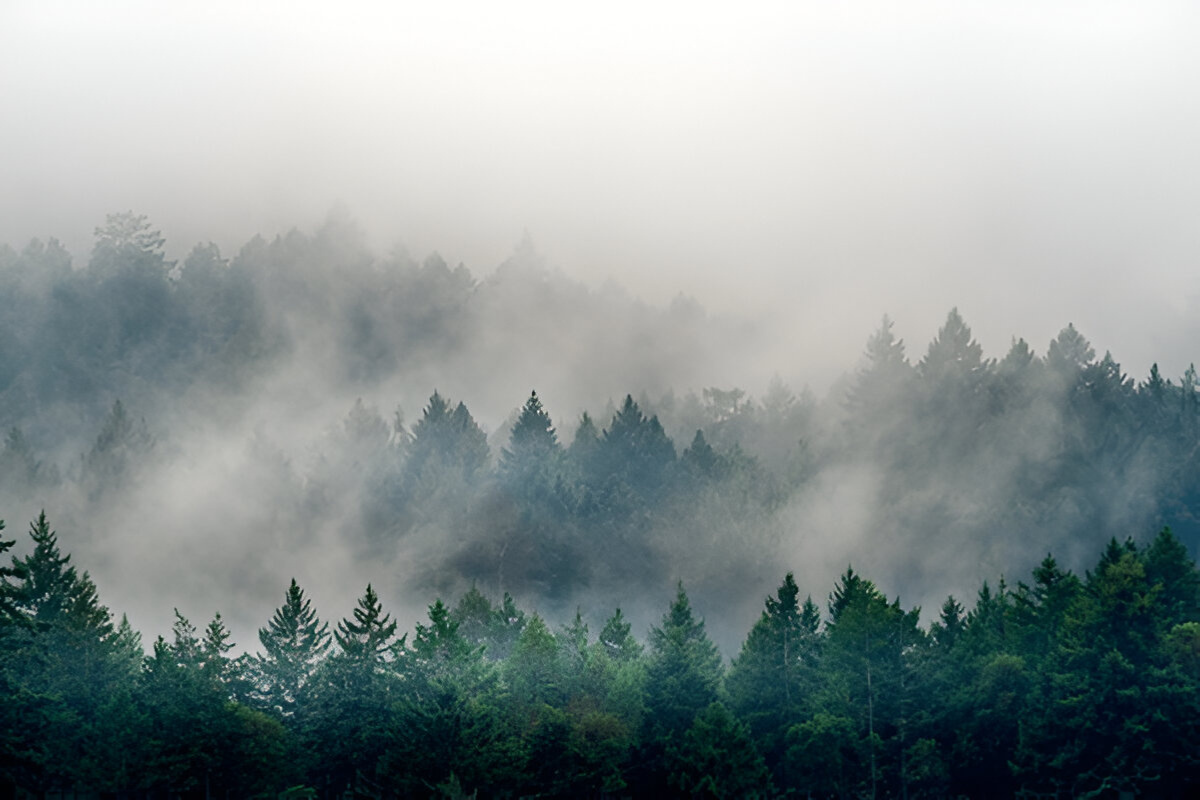 Canadian Wildfire Smoke Could Force New Air Quality Protocols